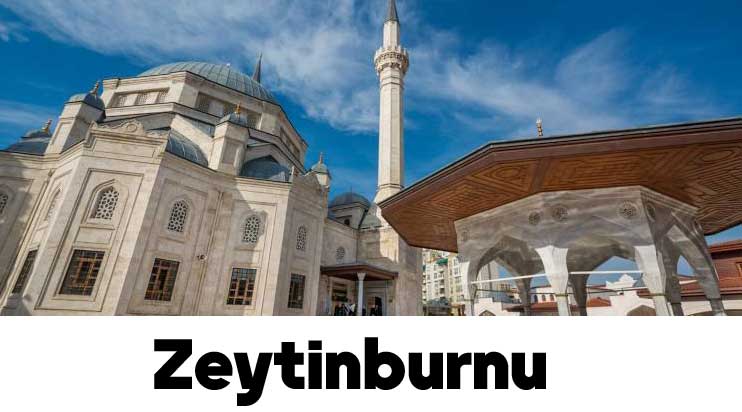منطقه زیتین بورنو استانبول | مناطق دیدنی | شرایط زندگی | سرمایه گذاری